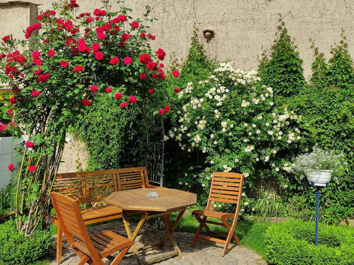 Pension Wehner Torgau Εξωτερικό φωτογραφία
